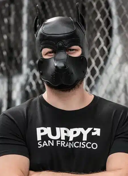 Mr. S Leather K9 Pup Hood Black