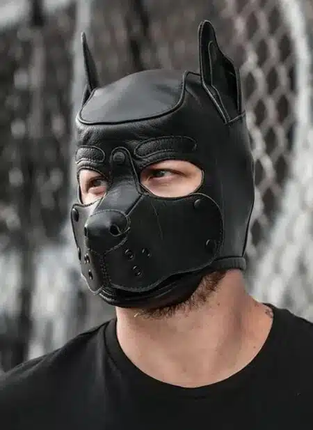 Mr. S Leather K9 Pup Hood Black