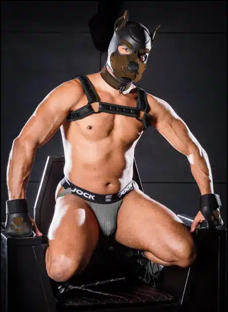 Mr. S Leather Open Paw Puppy Glove Brown