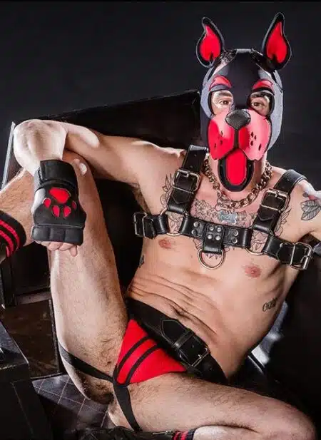 Mr. S Leather Open Paw Puppy Glove Red