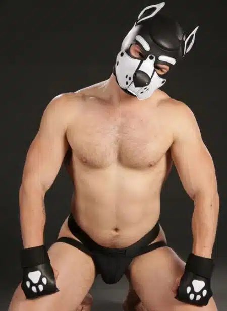 Mr. S Leather Open Paw Puppy Glove White