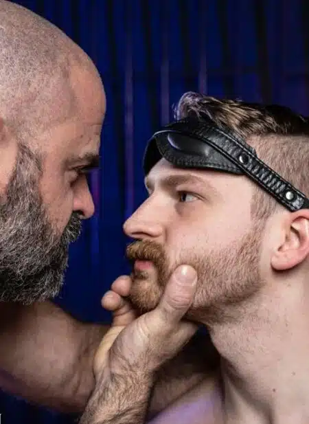 Mr. S Leather Padded Blindfold