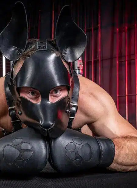 Mr. S Leather Padded K9 Mitts Black