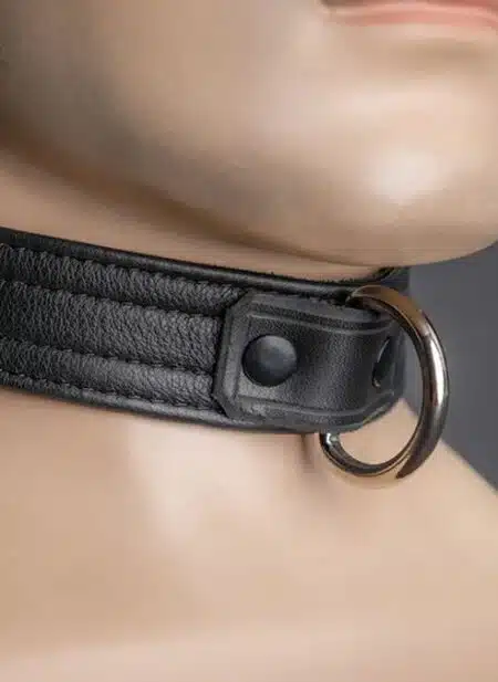 Mr. S Leather Puppy Collar