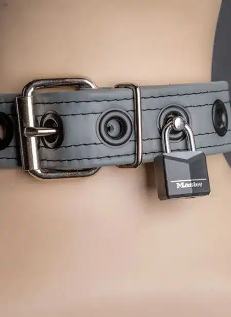 Mr. S Leather Puppy Collar
