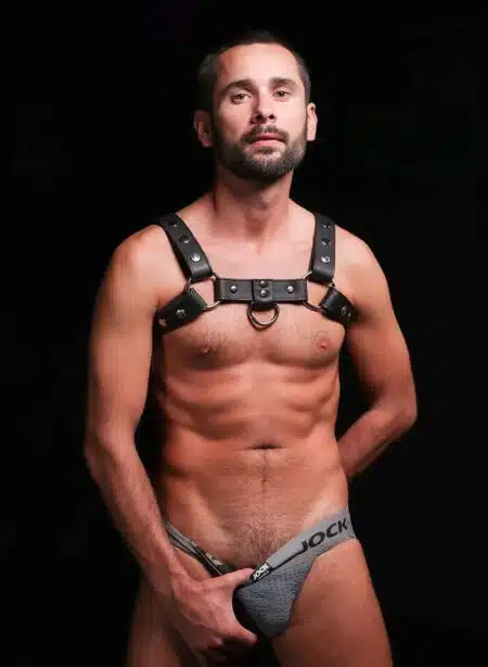 Mr. S Leather Silver Snap Bulldog Harness