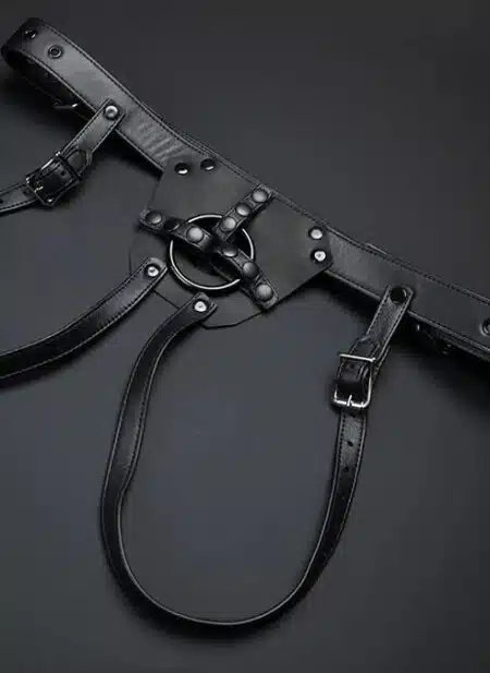 Mr. S Leather Strap On Dildo Harness