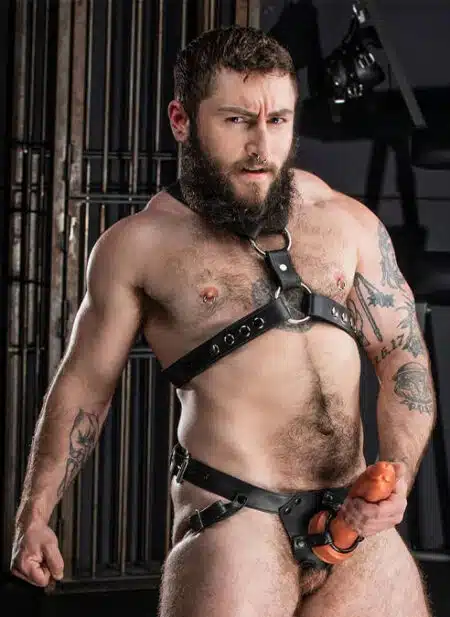 Mr. S Leather Strap On Dildo Harness
