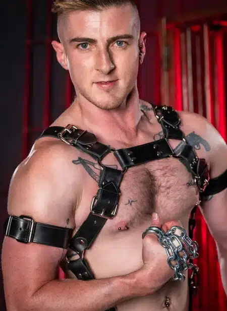 Mr. S Leather Trojan Body Harness