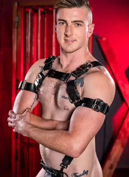 Mr. S Leather Trojan Body Harness