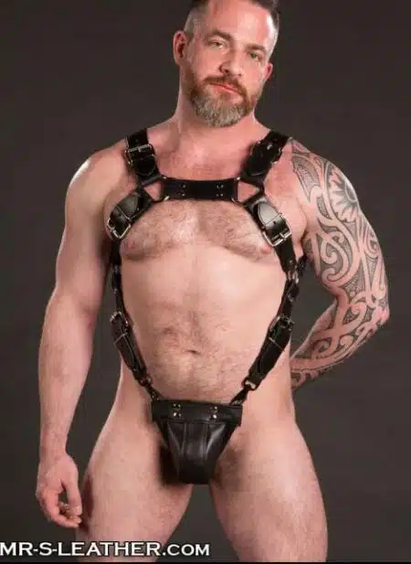 Mr. S Leather Trojan Jock
