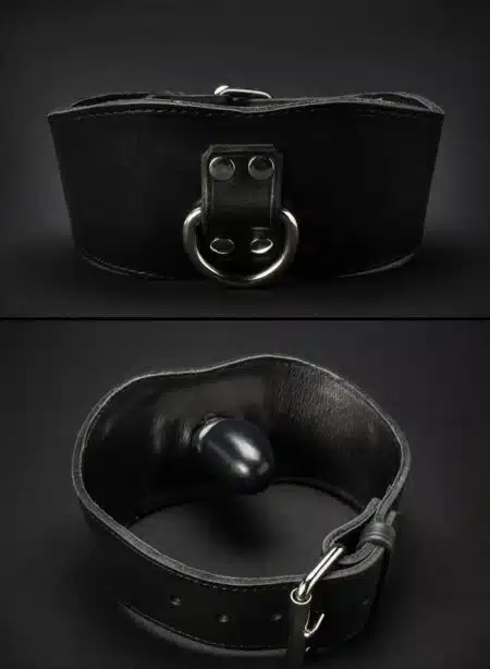 Mr. S Leather Wedge Gag