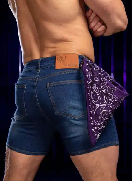 Mr. S Neck Hanky with Zipper Pocket Purple