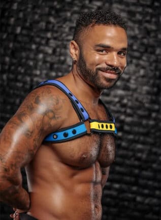Mr. S Neo Bold Color Bulldog Harness: Mix & Match