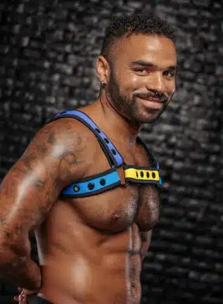 Mr. S Neo Bold Color Bulldog Harness: Mix & Match
