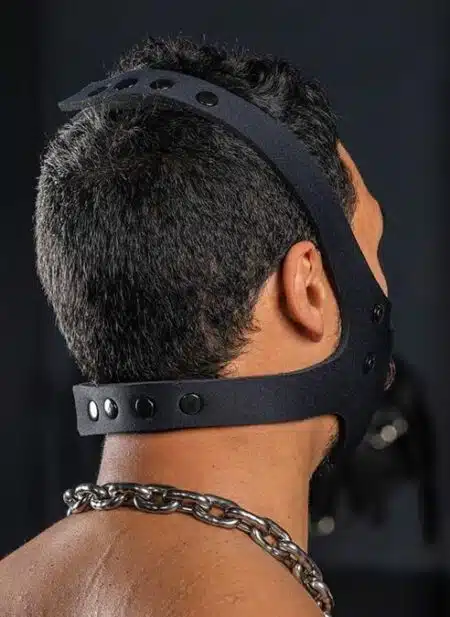 Mr. S Neo Face Muzzle Head Harness