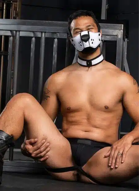 Mr. S Neo Face Muzzle Head Harness