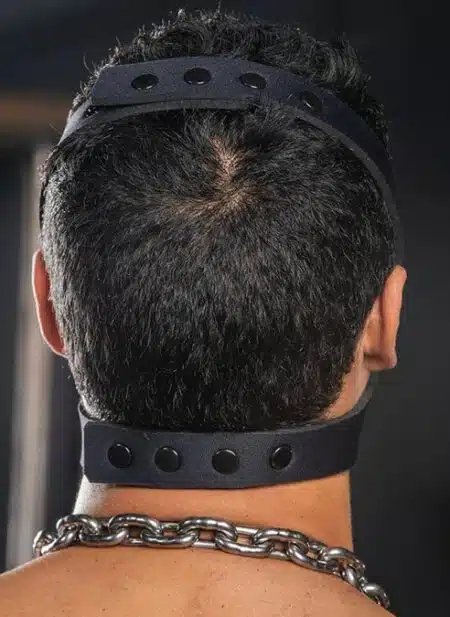 Mr. S Neo Face Muzzle Head Harness