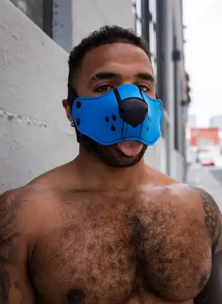 Mr. S Neo Open Face Harness
