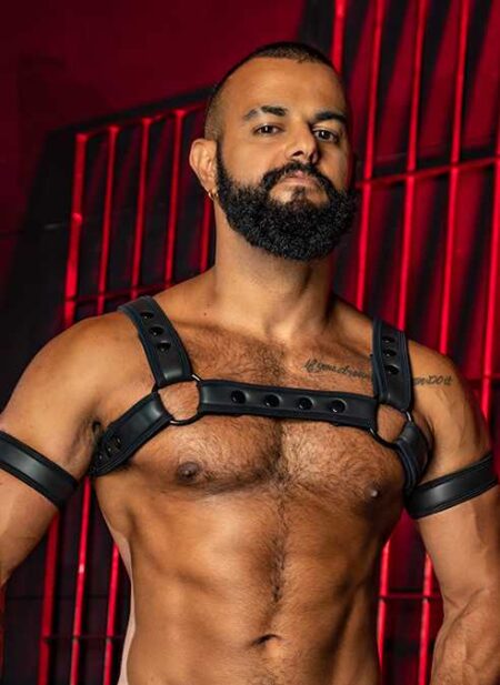 Mr. S Neoprene Bicep Strap 2.0