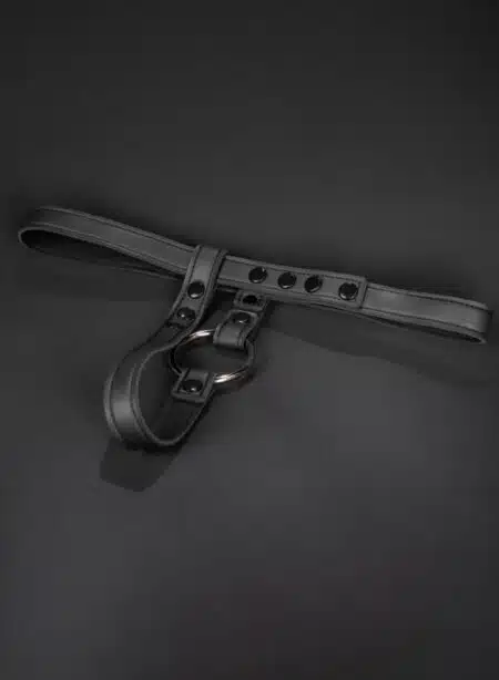 Mr. S Neoprene Butt Plug Harness