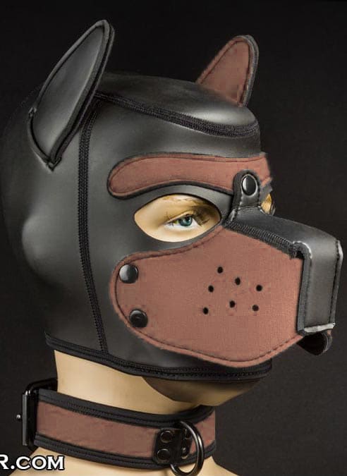 Mr. S Neoprene Puppy Collar Brown