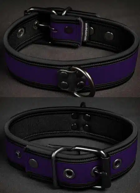 Mr. S Neoprene Puppy Collar Purple