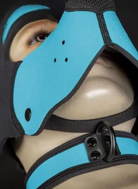 Mr. S Neoprene WOOF! Head Harness Aqua