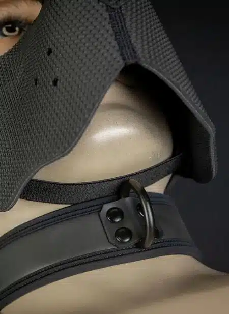 Mr. S Neoprene WOOF! Head Harness Black
