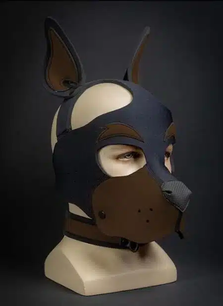 Mr. S Neoprene WOOF! Head Harness Brown