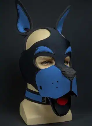 Mr. S Neoprene WOOF! Head Harness Cobalt blue