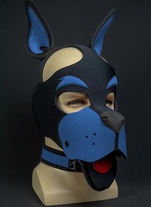 Mr. S Neoprene WOOF! Head Harness Cobalt blue