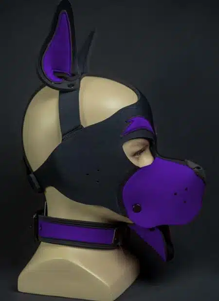 Mr. S Neoprene WOOF! Head Harness Purple