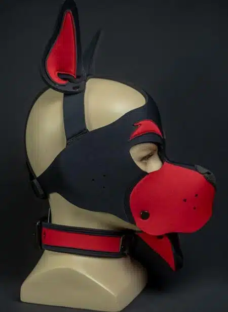 Mr. S Neoprene WOOF! Head Harness Red