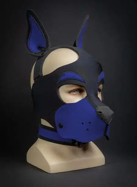 Mr. S Neoprene WOOF! Head Harness Royal blue