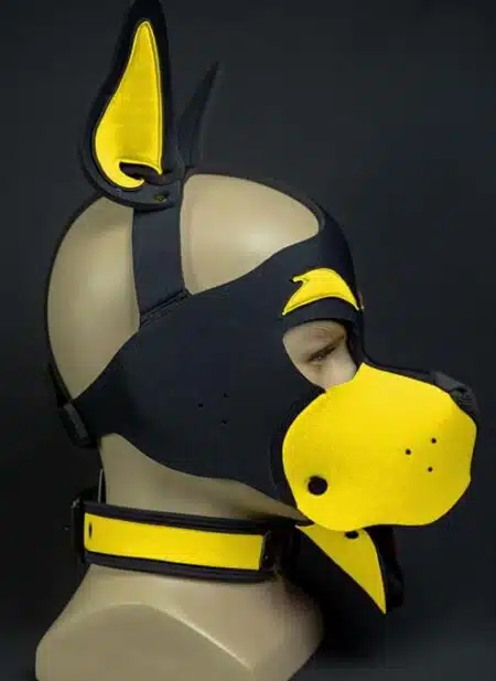 Mr. S Neoprene WOOF! Head Harness Yellow