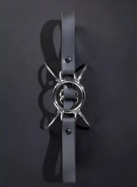 Mr. S Spyder Gag