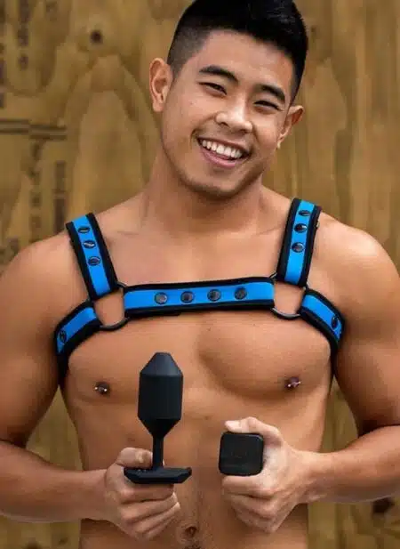 Mr. S World's Most Comfortable Vibrating Butt Plug
