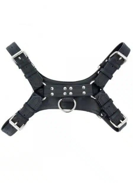Titus Handler Harness
