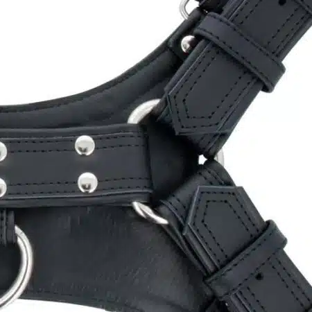 Titus Handler Harness