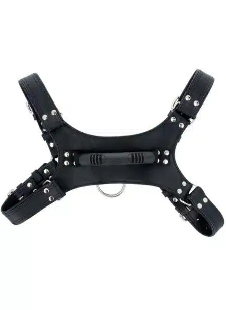Titus Handler Harness