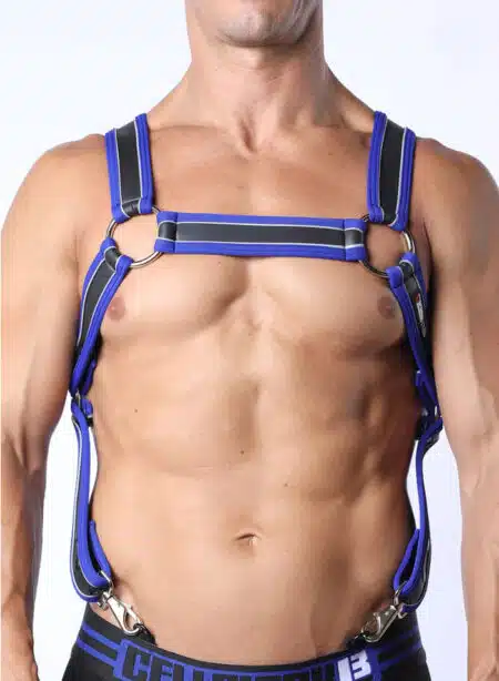 Cellblock 13 Mercury Harness Blue
