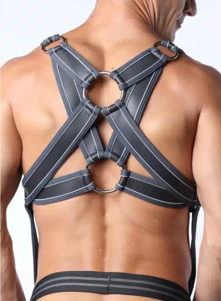 Cellblock 13 Mercury Harness Grey
