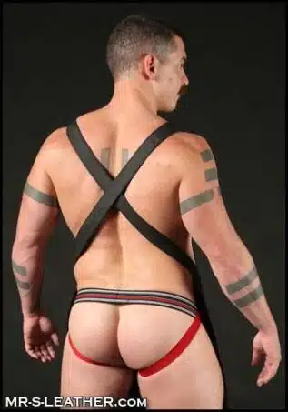 Mr. S FuckGear Apron