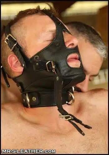 Mr. S Leather Bishop Head Harness
