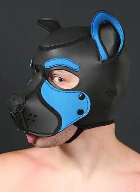 Mr. S Neo Frisky Pup Hood Cobalt Blue