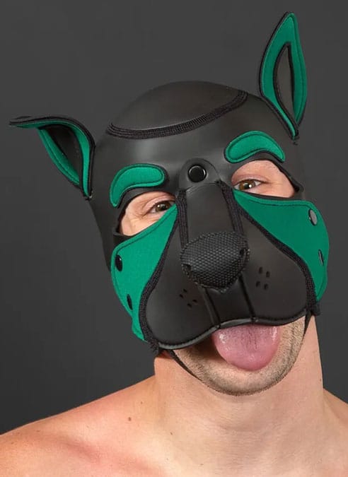 Mr. S Neo Frisky Pup Hood Hunter
