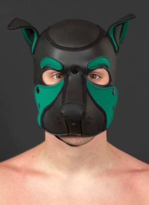 Mr. S Neo Frisky Pup Hood Hunter