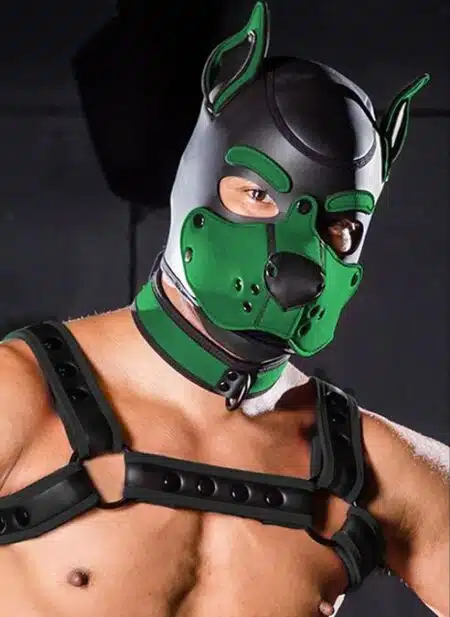 Mr. S Neo K9 Hood Hunter