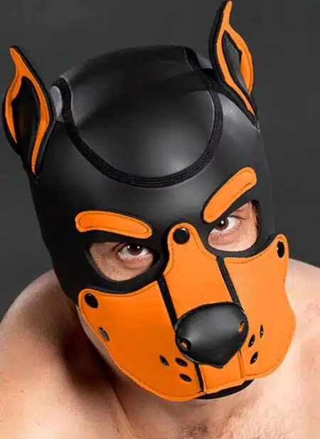 Mr. S Neo K9 Hood Orange